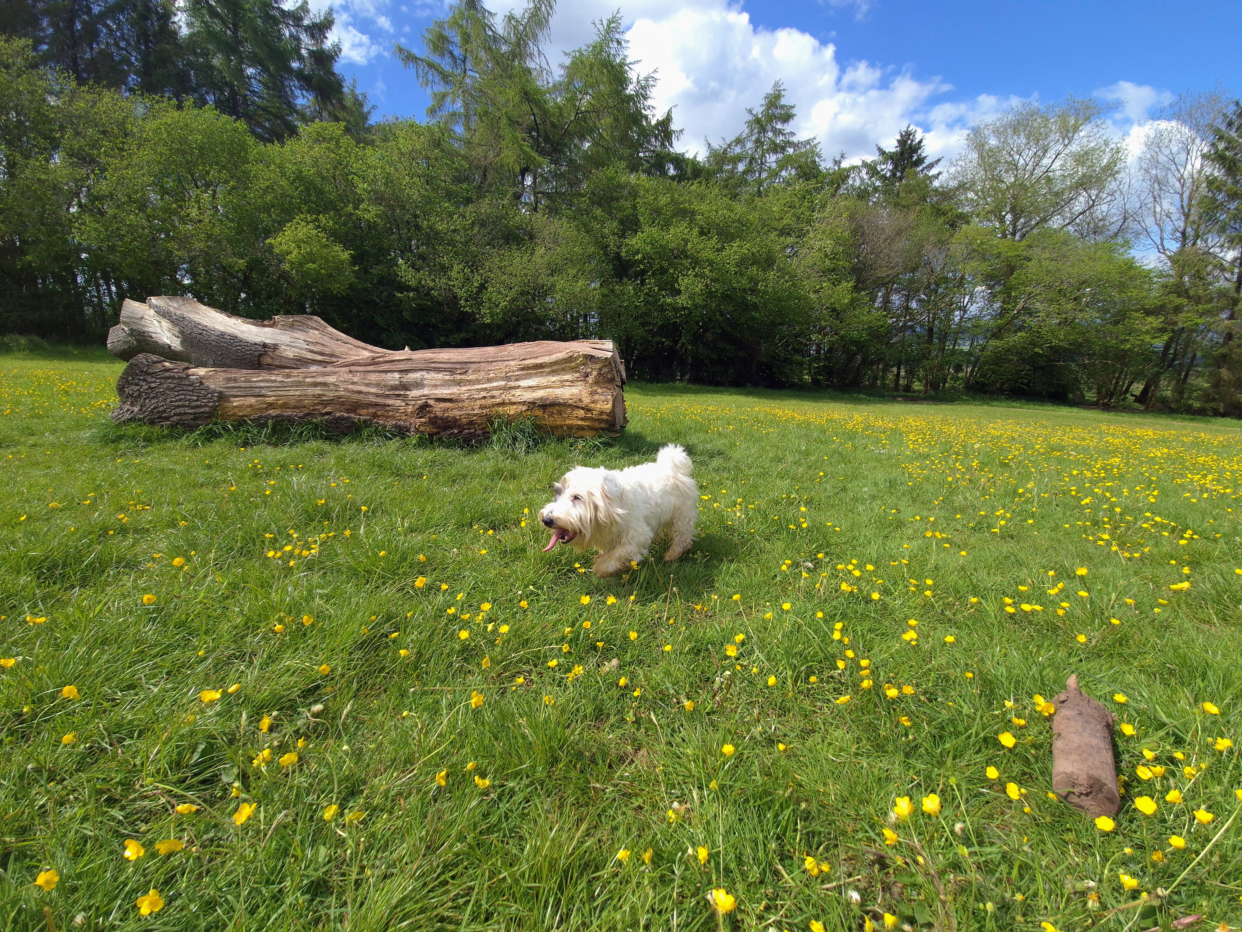 Caio in the field