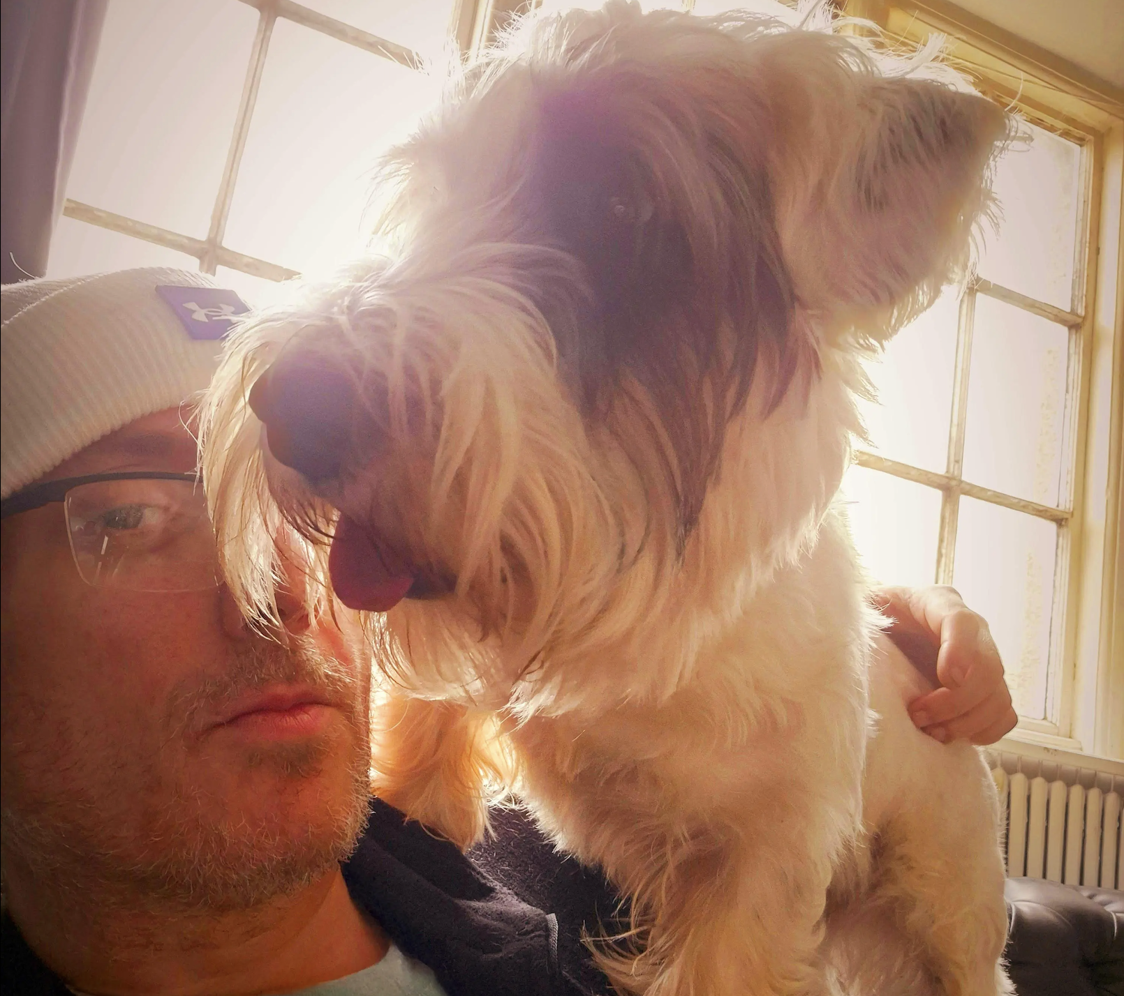 Caio the Sealyham Terrier