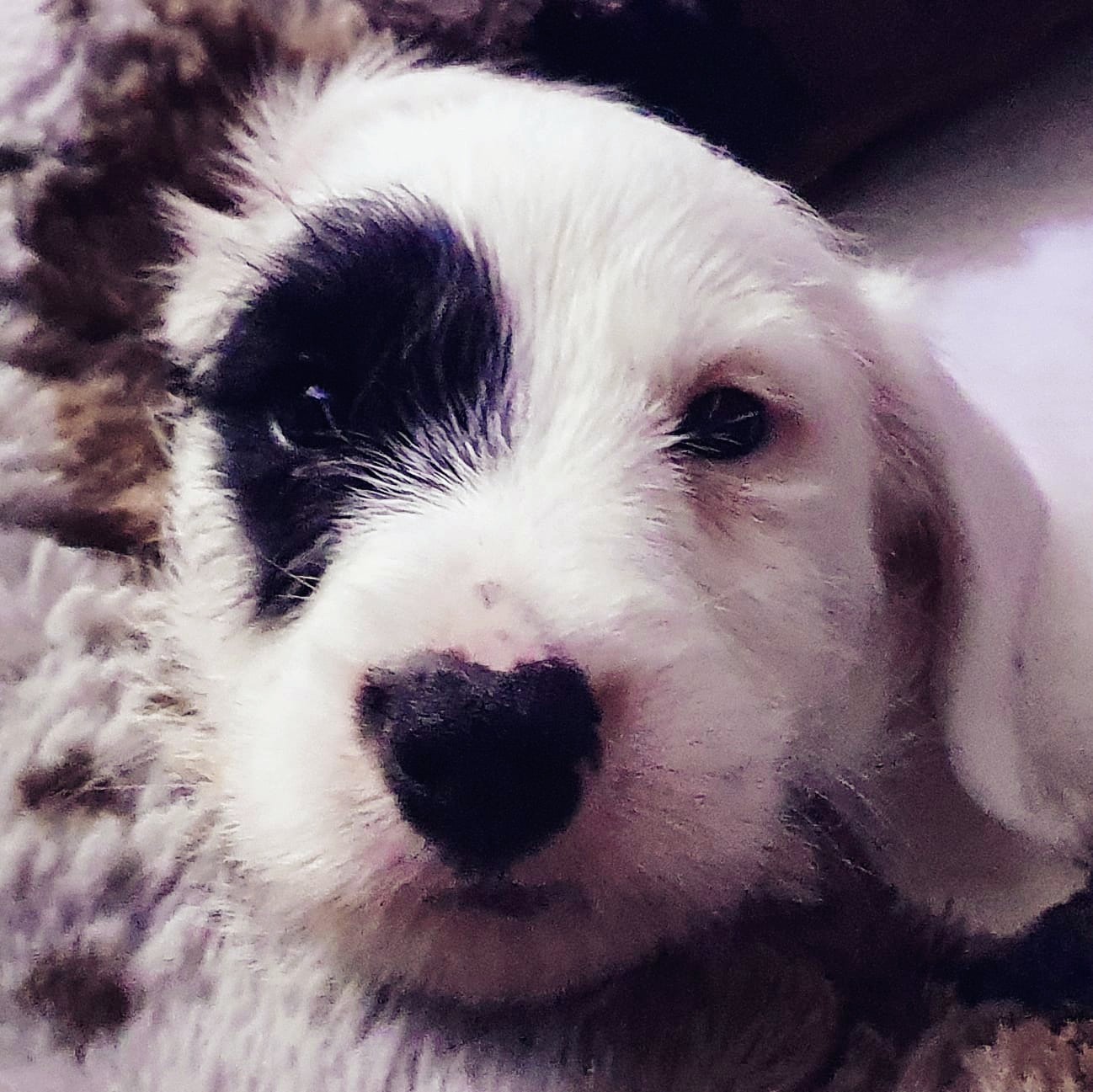 Handsome boy